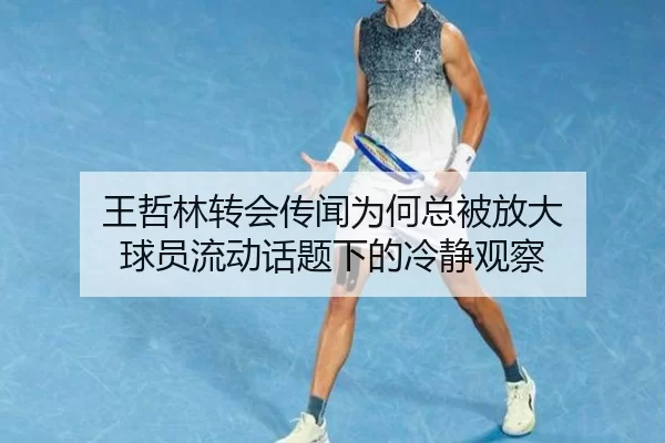 王哲林转会传闻为何总被放大 球员流动话题下的冷静观察